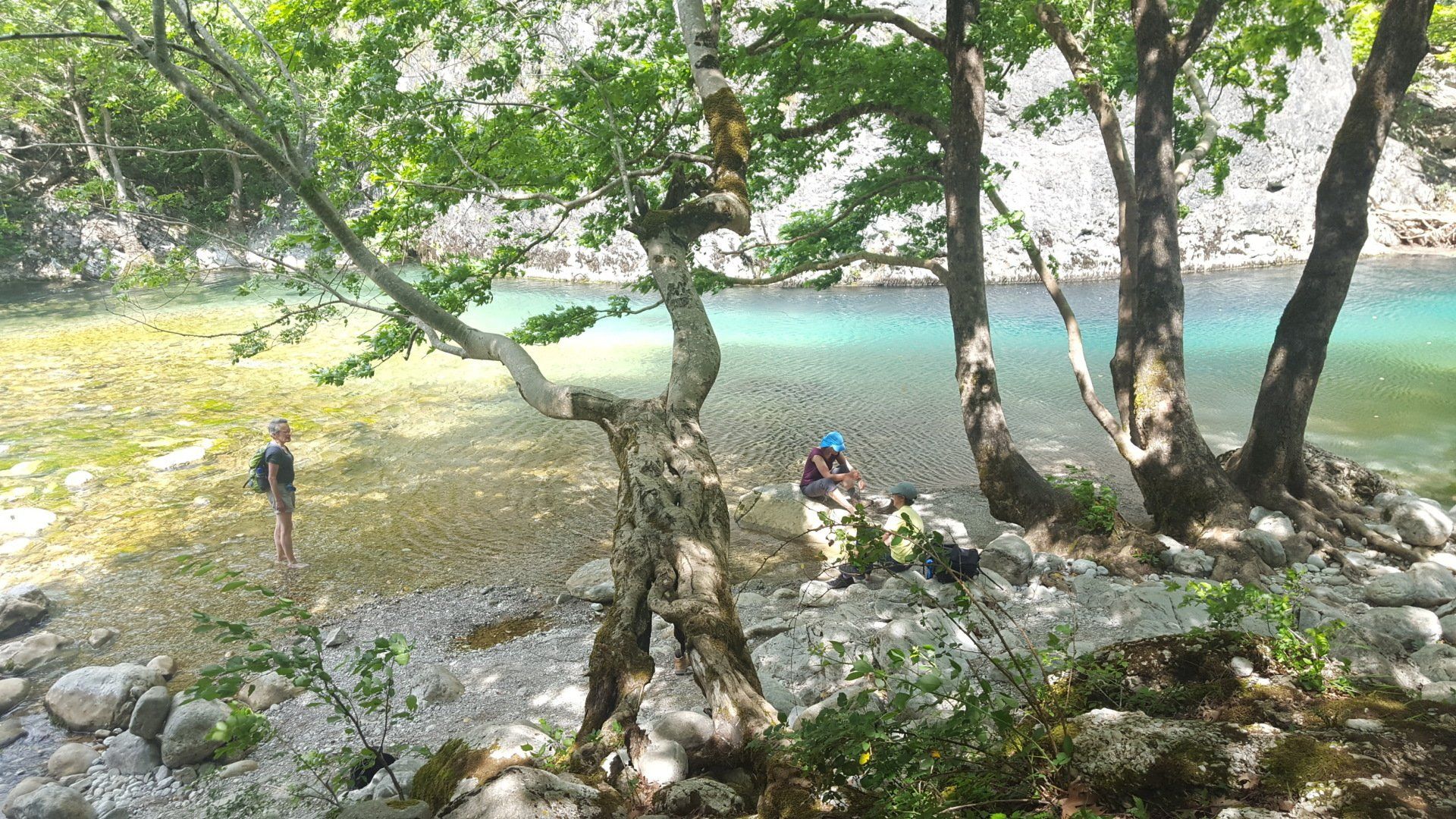 Vikos gorge