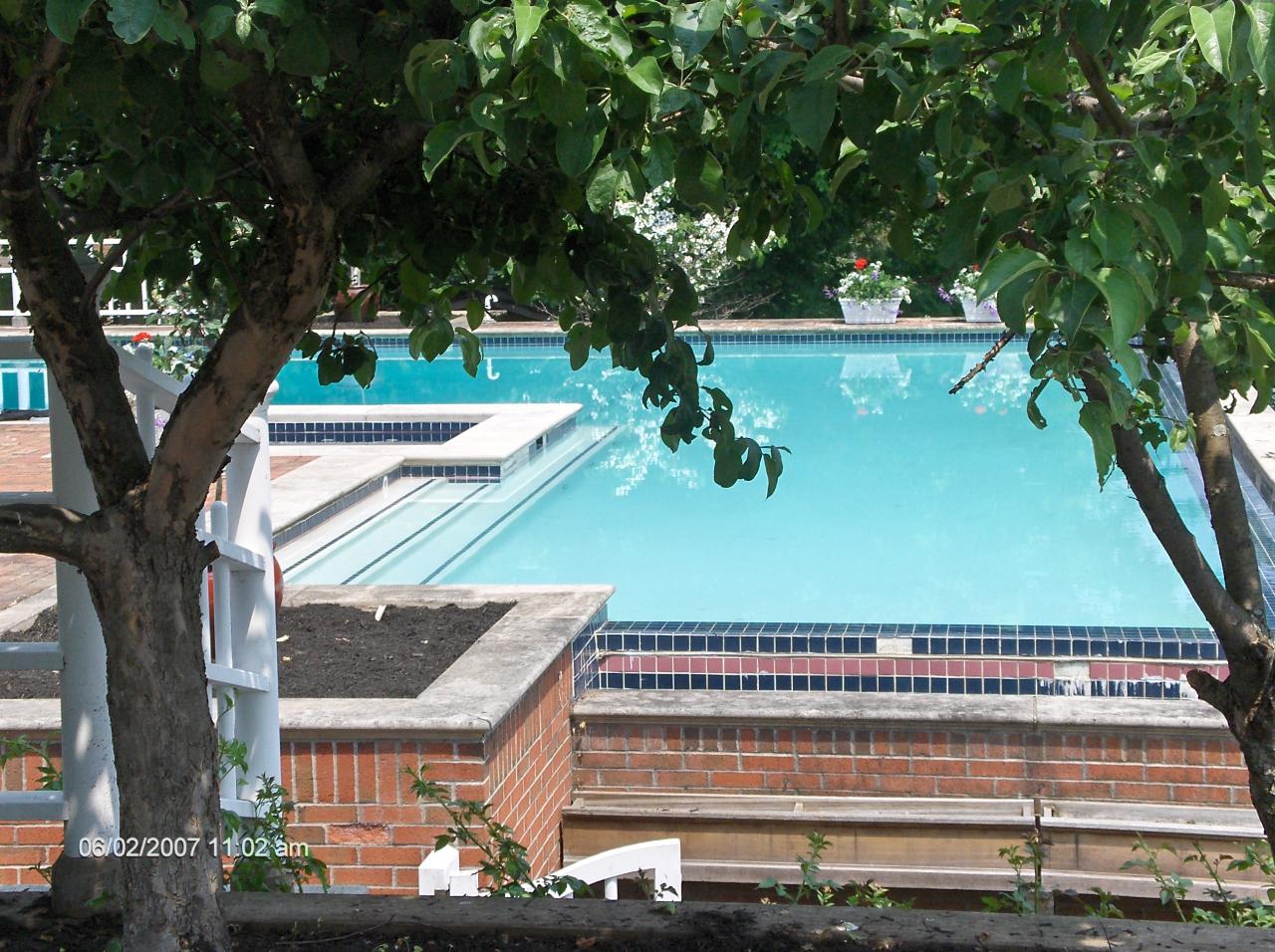 Trees On The Pool Side — Liverpool, NY — CoolWaters Pool & Spa