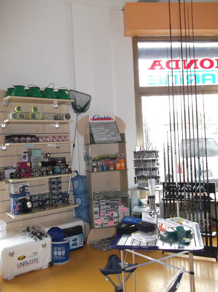 tecno camper trieste