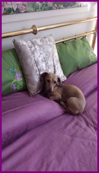 arredo