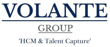 Volante Group logo