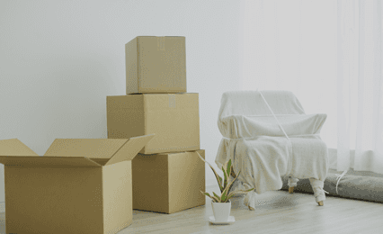 Removal specialists