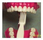 brushing 2