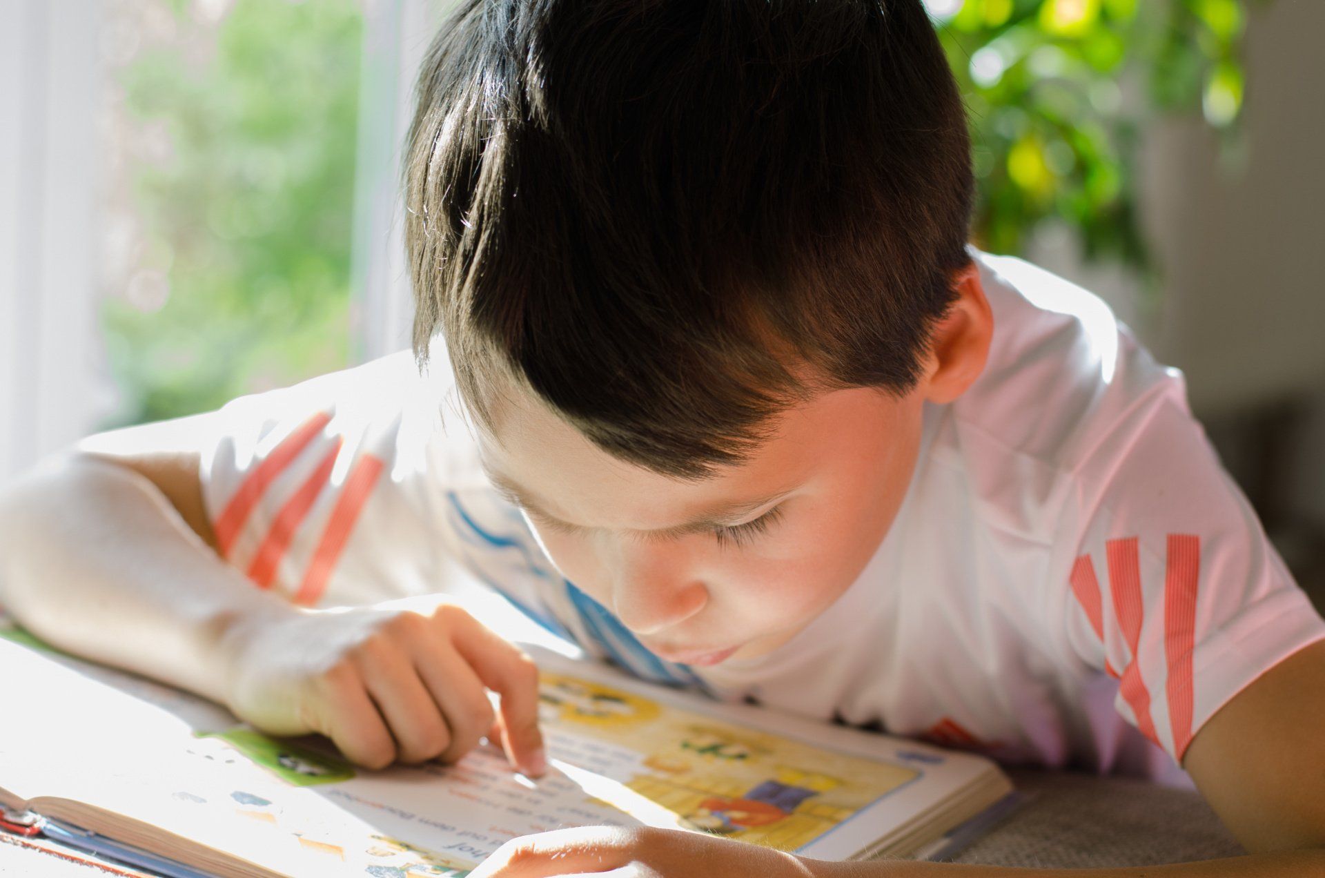 Dyslexia and Dyscalculia Assistance, Tutoring Wollongong
