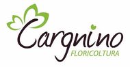 CARGNINO FLORICOLTURA - LOGO CARGNINO FLORICOLTURA - LOGO