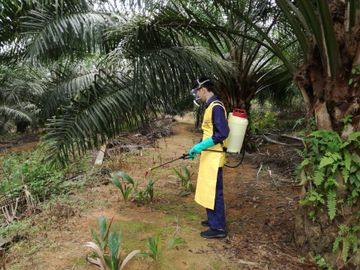 spot spray, vops spray, sprayer, jun chong sprayer, cross mark sprayer, pb original sprayer, hand sprayer, agricultural sprayer, knapsack sprayer, backpack sprayer, semi auto knapsack sprayer, mechanical sprayer, high volume sprayer, low volume sprayer, durable sprayer, light weight sprayer, weedicide sprayer, herbicide sprayer, pam racun, pam racun pb, pam racun rumput, pam racun manual, mesin penyembur racun rumput, pam racun galas.
