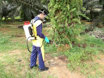circle spray, sprayer, jun chong sprayer, cross mark sprayer, pb original sprayer, hand sprayer, agricultural sprayer, knapsack sprayer, backpack sprayer, semi auto knapsack sprayer, mechanical sprayer, high volume sprayer, low volume sprayer, durable sprayer, light weight sprayer, weedicide sprayer, herbicide sprayer, pam racun, pam racun pb, pam racun rumput, pam racun manual, mesin penyembur racun rumput, pam racun galas.