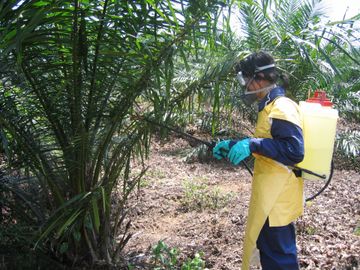p & d spray, sprayer, jun chong sprayer, cross mark sprayer, pb original sprayer, hand sprayer, agricultural sprayer, knapsack sprayer, backpack sprayer, semi auto knapsack sprayer, mechanical sprayer, high volume sprayer, low volume sprayer, durable sprayer, light weight sprayer, insecticide sprayer, pesticide sprayer, pam racun, pam racun pb, pam racun rumput, pam racun manual, mesin penyembur racun rumput, pam racun galas.