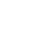 Icon - Truck showing movement depicting Expedited Shipping