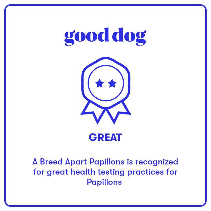 good dog badge