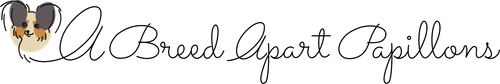 Logo: A cartoon Papillon dog's head with black, tan, and white markings next to the script 
