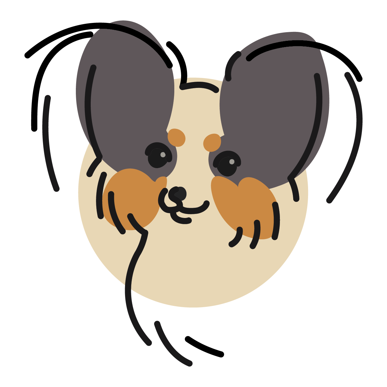 papillon vector illustration