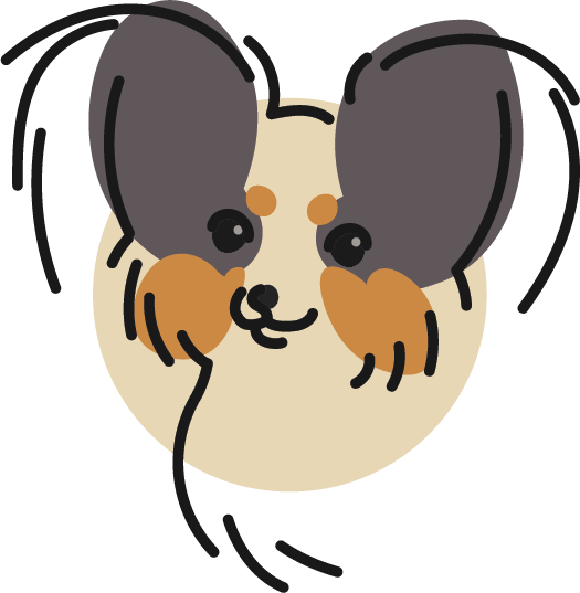 papillon vector illustration