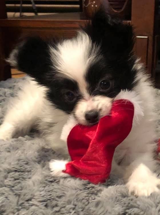 Reba with red toy