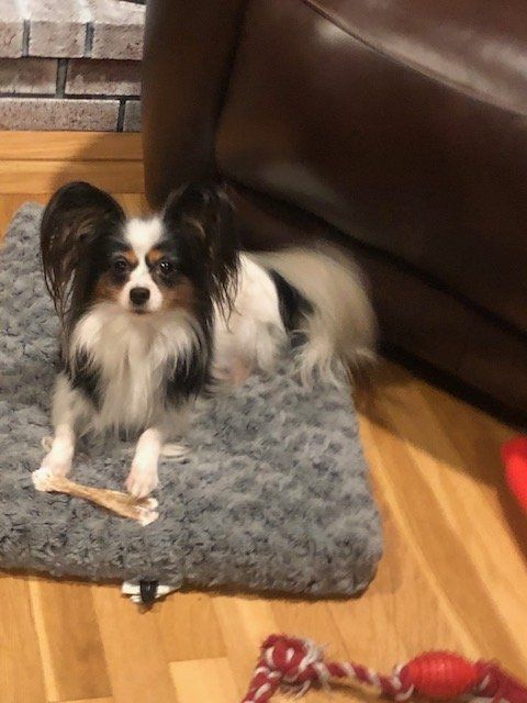 Remmy