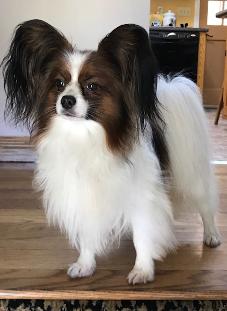 Olaf