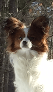 Olaf