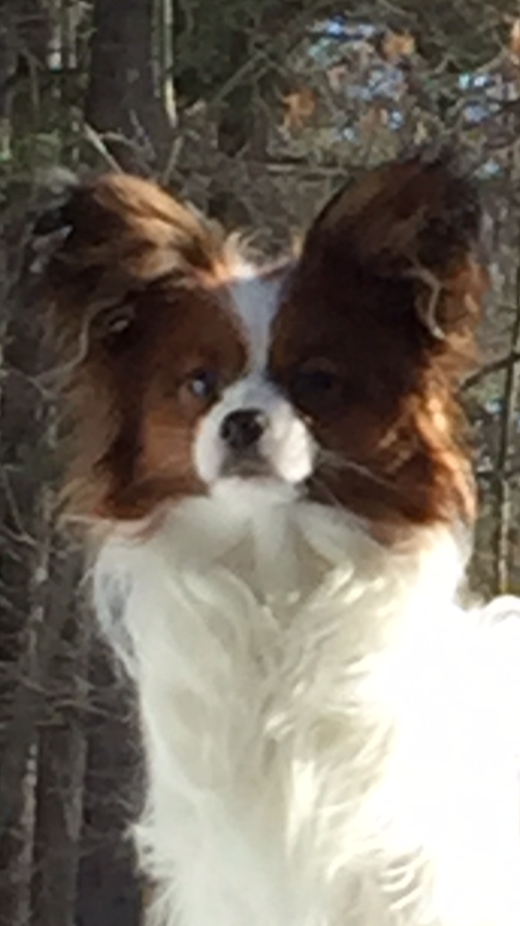 olaf