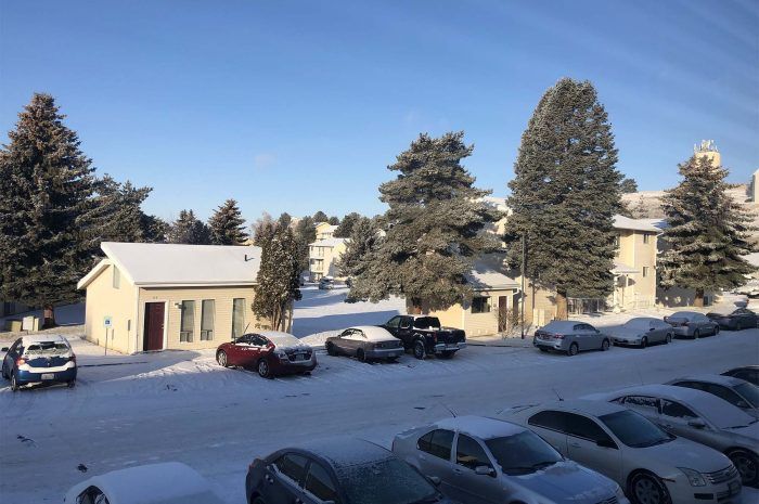 Meadow Brook snow