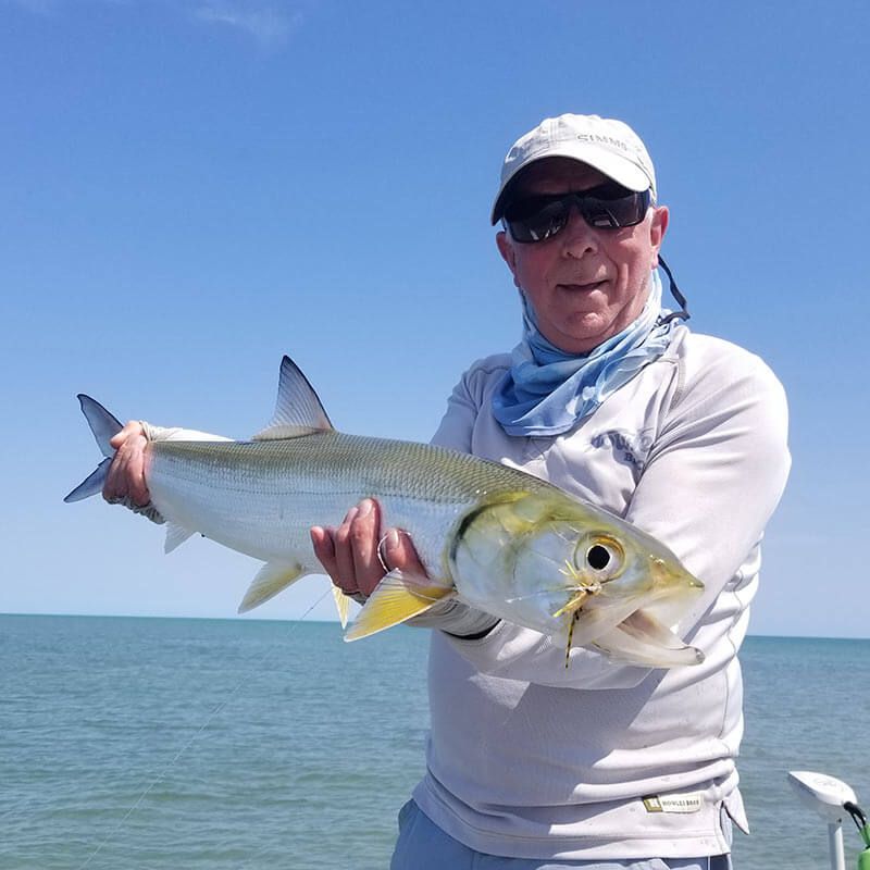 Catch Giant Herring with Fish's Fly and Sportfishing - Weipa