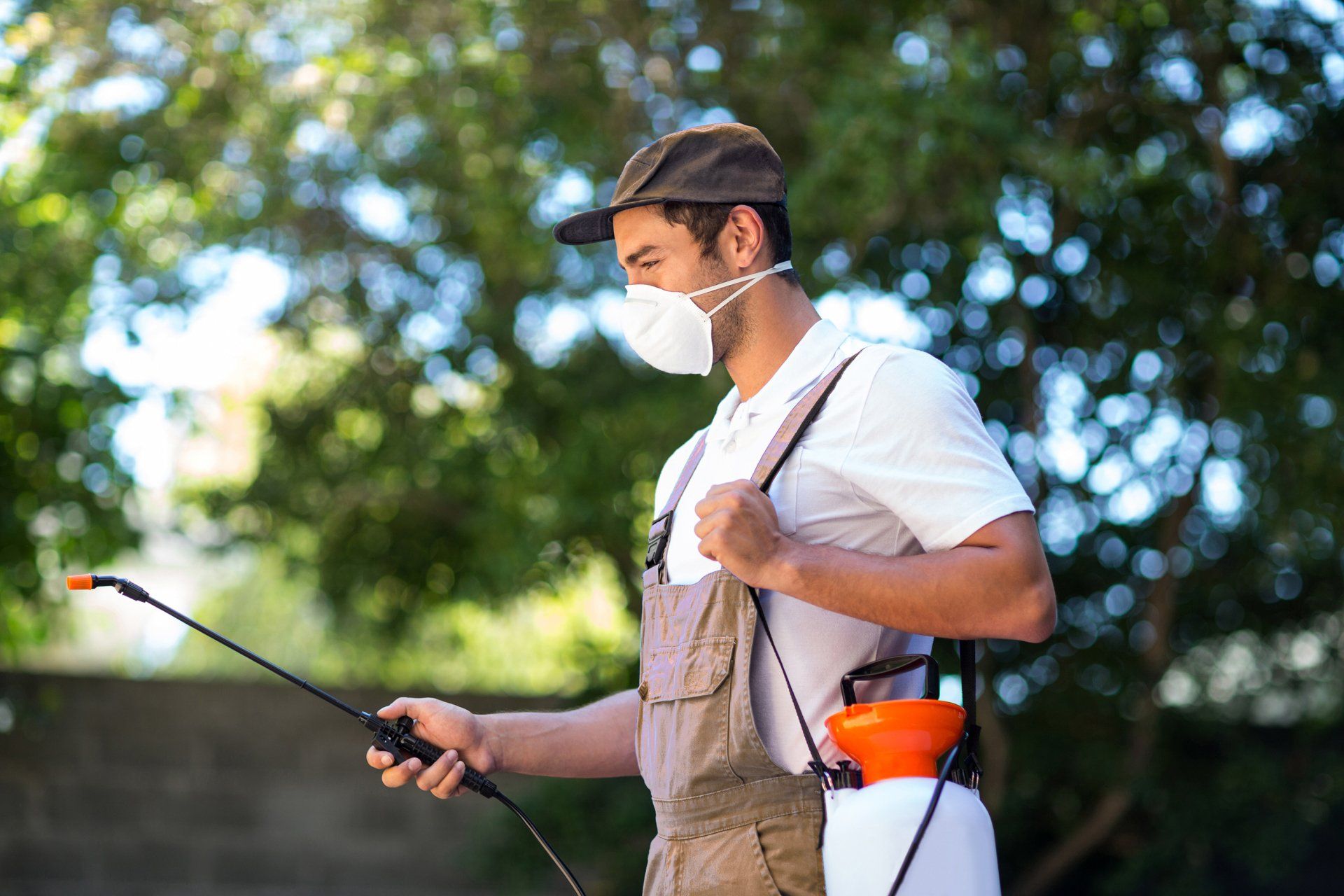 Plantation Pest Management - Pest Control Guy