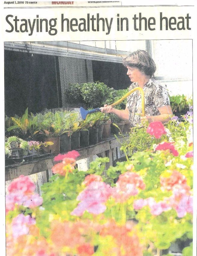 Staying healthy in the heat article