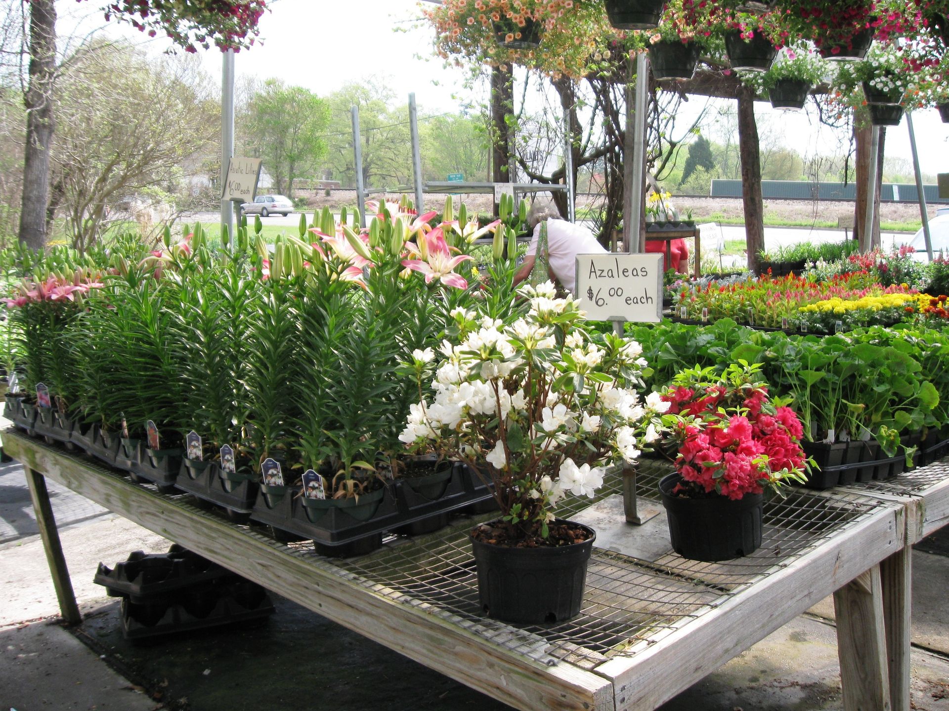 Greenhouse Yadkinville, Lexington & Kernersville, NC