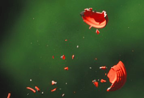 Broken orange clay target, shards suspended mid-air against a blurred green background.