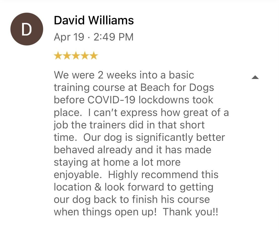David williams wrote a review of a training course at beach for dogs before covid-19 lockdowns took place.