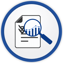 Auditing Icon