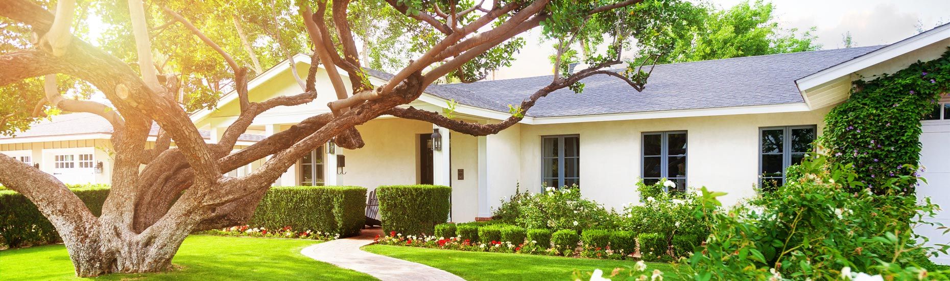 front yard of house