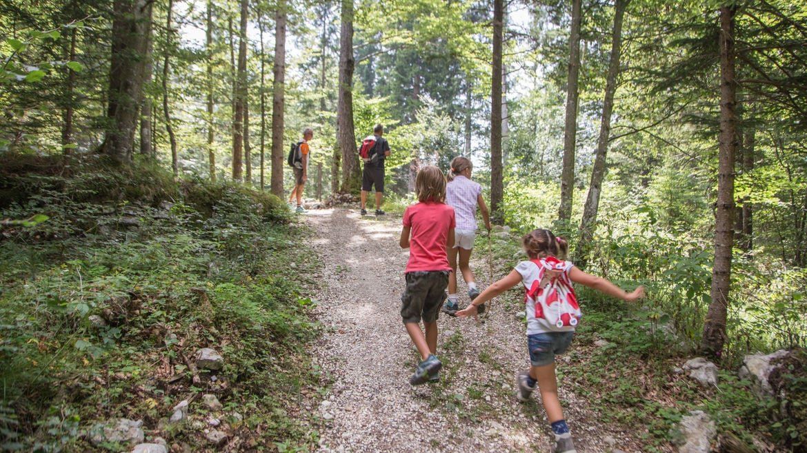 Trekking e camminate partendo dall'Agriturismo I Pitti e dal Casa Rowe Bed & Breakfastl'Agriturismo i Pitti e al Casa Rowe Bed and Breakfast