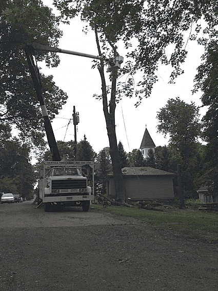Tree Service Danbury, CT