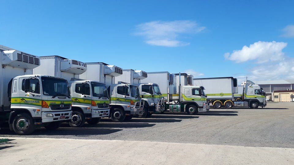 fleet panorama 2