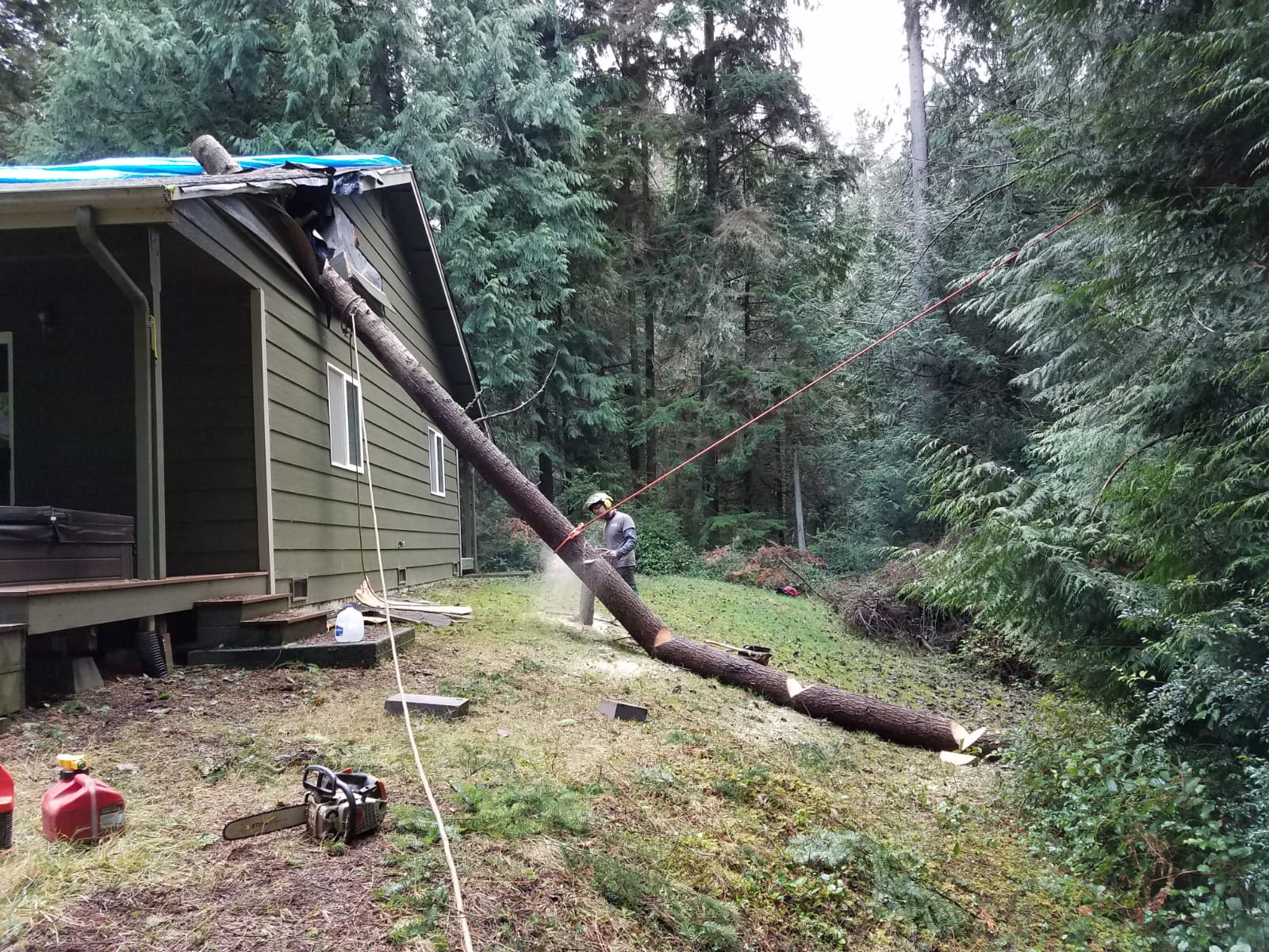 Chris Maragulia Henry Tree Service Clinton Washington tree fell on house storm damage clean up