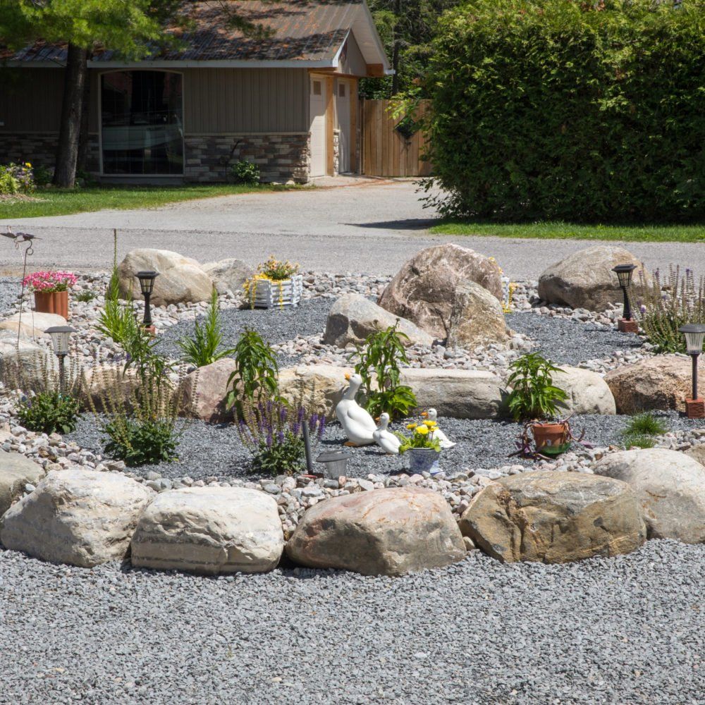 Rain Garden, Stormwater Management, Water Runoff Solutions, Water Filtration, Low-Impact Development, Natural Drainage, Green Infrastructure
