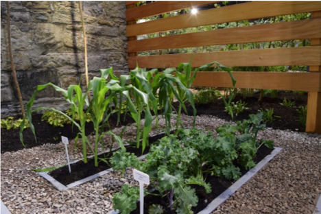 Rain Garden, Stormwater Management, Water Runoff Solutions, Water Filtration, Low-Impact Development, Natural Drainage, Green Infrastructure