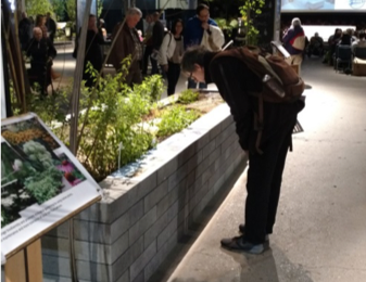 Sustainable Landscaping Practices, Green Gardening Tips, Ecological Landscape Desing, Water-Wise Landscaping Techniques