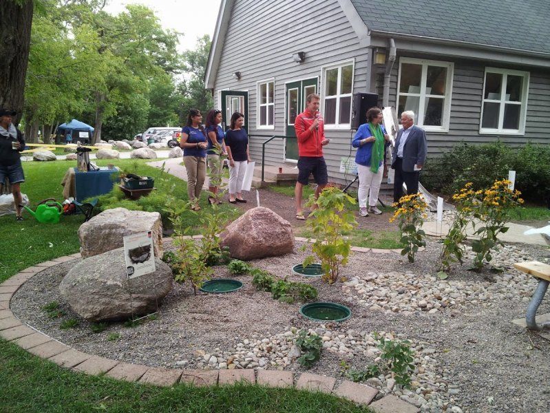 Rain Garden, Stormwater Management, Water Runoff Solutions, Water Filtration, Low-Impact Development, Natural Drainage, Green Infrastructure