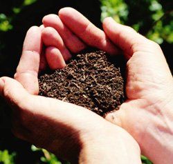 topsoil topsoil