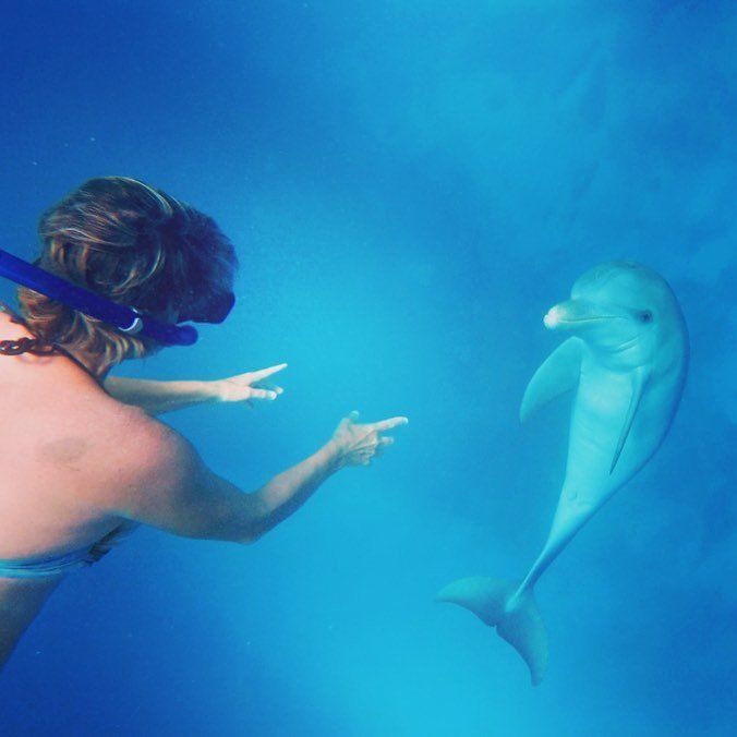 Agnès et les dauphins - les photos sous l'eau