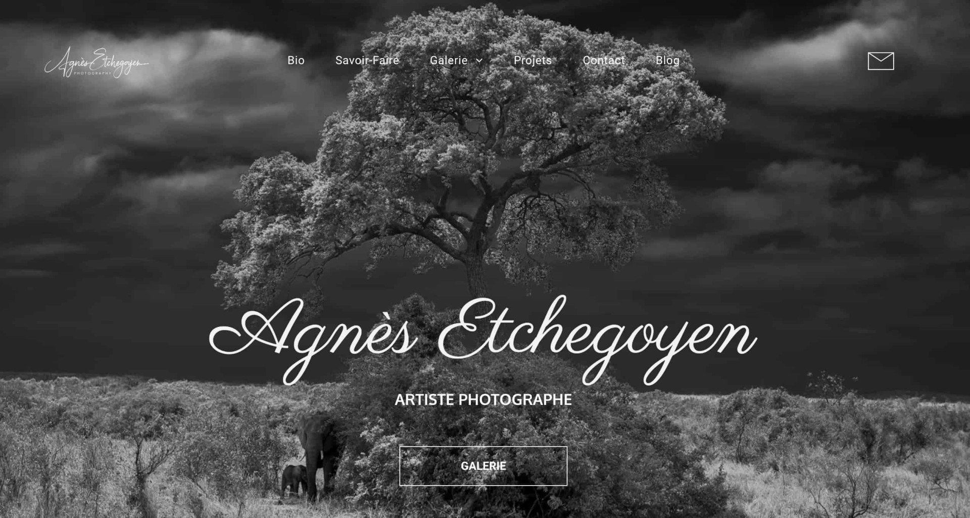 La page d'accueil du joli site internet d'Agnès Etchegoyen