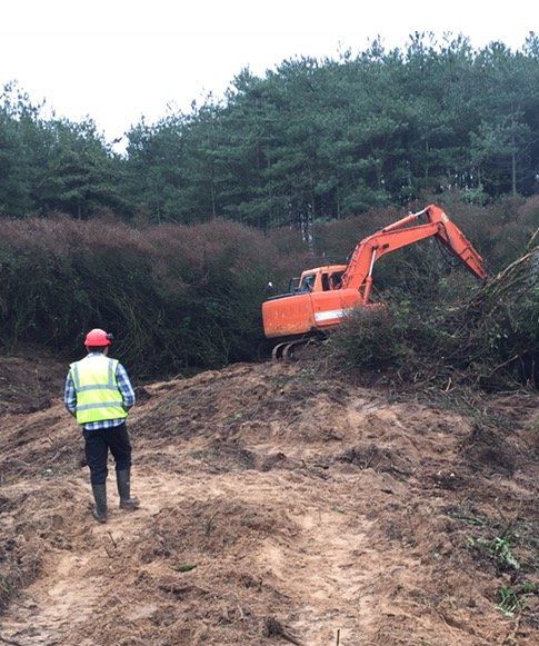 Countryside management - Ravenglass, Muncaster - Joe Geer - Tree felling Tree felling