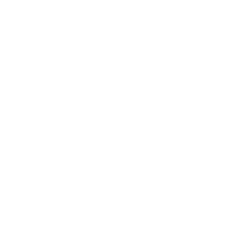 house icon