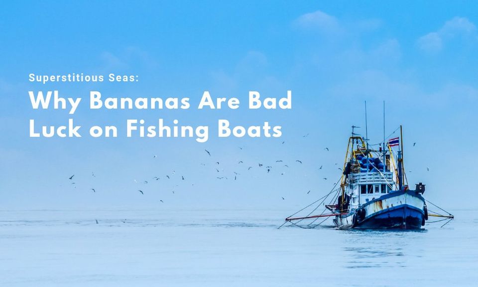 Why Bananas Are Bad Luck on Fishing Boats