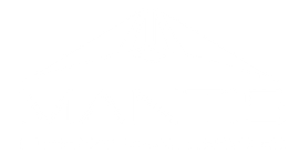 Logo MANTIS GROUP - Mantis International Services, aerolínea de vuelos chárter