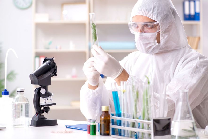 personale del laboratorio
