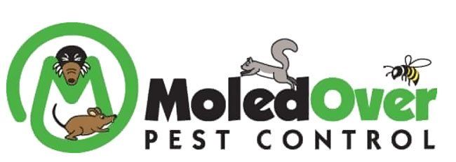 Moledover logo