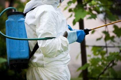 pest spray