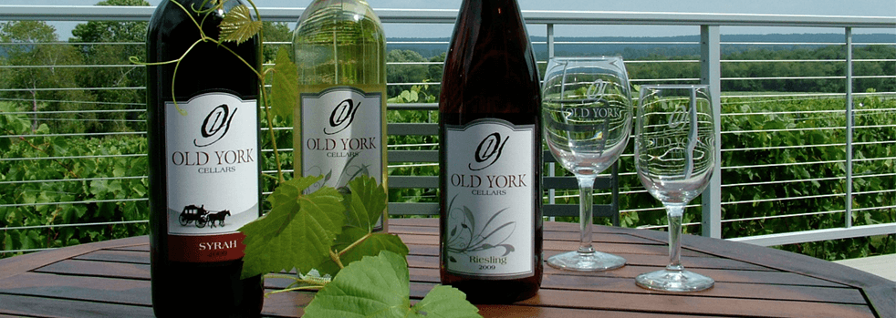 Two wine bottles and two glasses on a table with grapevines and a scenic hillside beyond